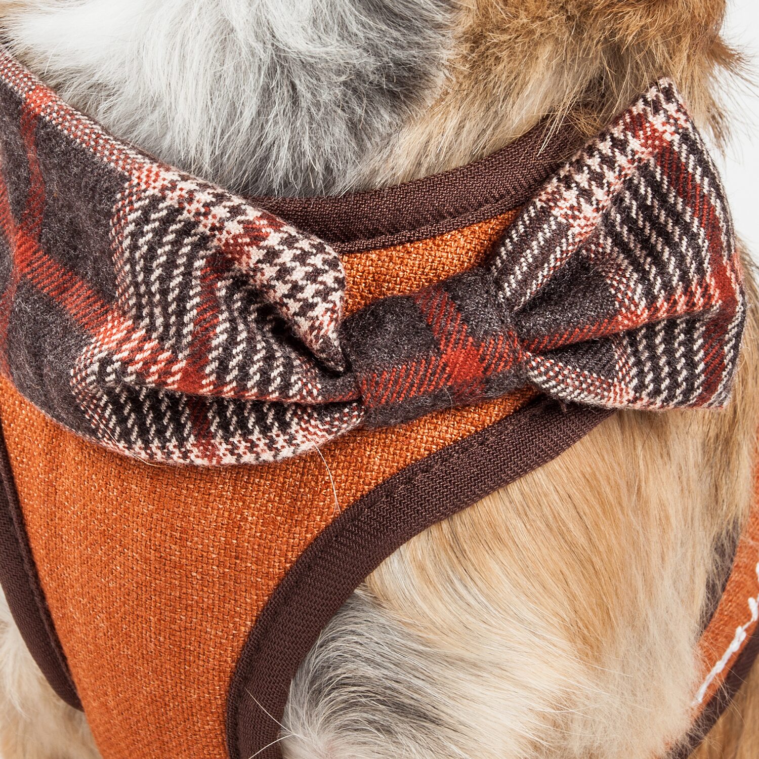 Pet Life Luxe 'Pawsh' 2-In-1 Mesh Reversed Adjustable-Leash W/ Fashion Bowtie Dog Harness