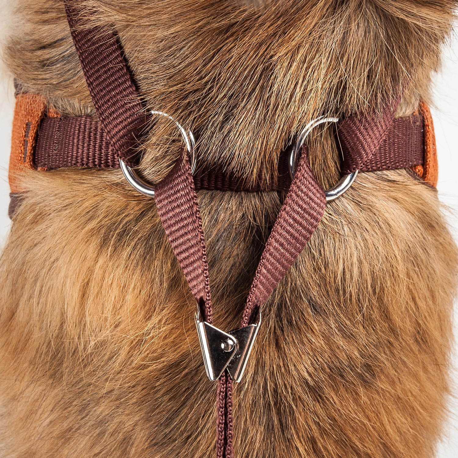 Pet Life Luxe 'Pawsh' 2-In-1 Mesh Reversed Adjustable-Leash W/ Fashion Bowtie Dog Harness