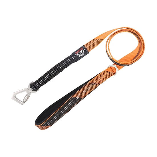 Pet Life Geo-Prene' 2-In-1 Shock Absorbing Neoprene Padded Reflective Leash Dog Harness