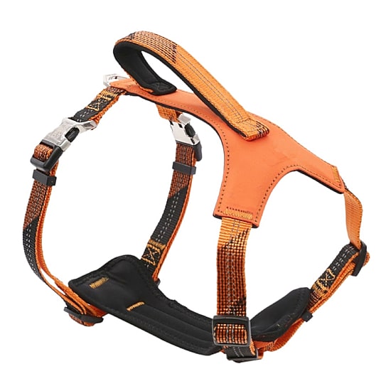 Pet Life Geo-Prene' 2-In-1 Shock Absorbing Neoprene Padded Reflective Leash Dog Harness