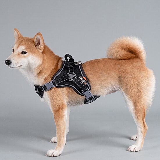 Dog Helios Scorpion' Sporty High-Performance Free-Range Dog Harness