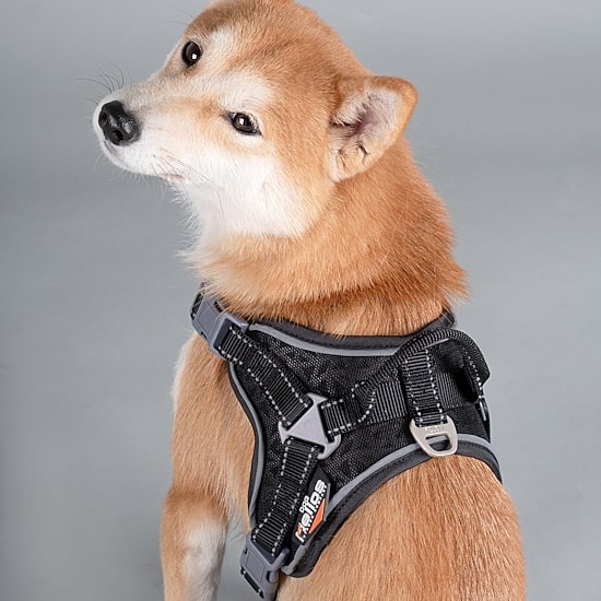 Dog Helios Scorpion' Sporty High-Performance Free-Range Dog Harness
