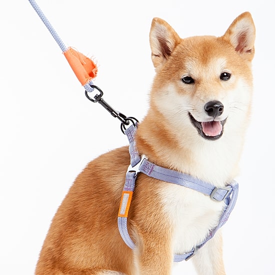 Touchdog Macaron' 2-In-1 Durable Nylon Leash Dog Harness