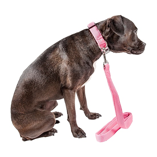 Pet Life Aero Mesh' 2-In-1 Dual Sided Comfortable And Breathable Adjustable Mesh-Collar 4 Ft Dog Leash