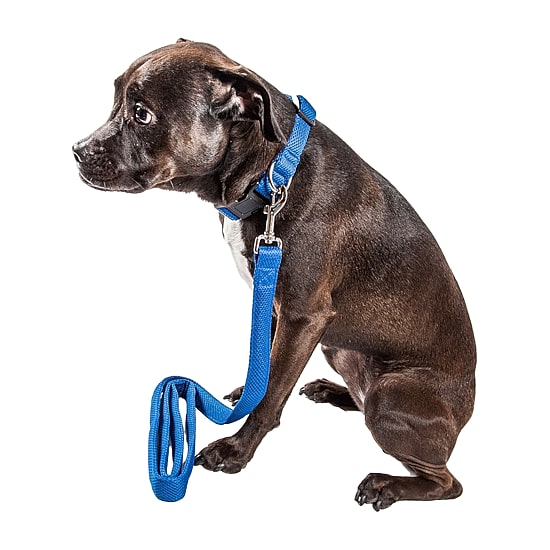 Pet Life Aero Mesh' 2-In-1 Dual Sided Comfortable And Breathable Adjustable Mesh-Collar 4 Ft Dog Leash