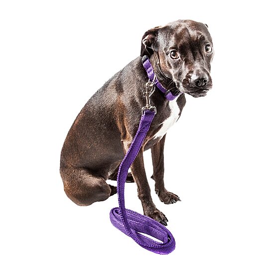 Pet Life Aero Mesh 2-In-1 Dual Sided Comfortable And Breathable Adjustable Mesh-Collar Dog Leash
