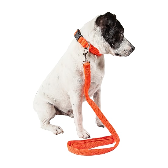 Pet Life Aero Mesh 2-In-1 Dual Sided Comfortable And Breathable Adjustable Mesh-Collar 4 Ft Dog Leash