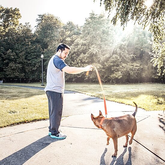 Pet Life Aero Mesh 2-In-1 Dual Sided Comfortable And Breathable Adjustable Mesh-Collar 4 Ft Dog Leash