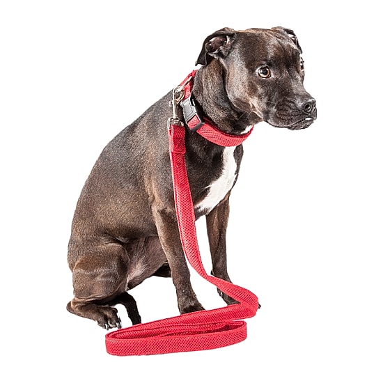 Pet Life Aero Mesh 2-In-1 Dual Sided Comfortable And Breathable Adjustable Mesh-Collar 4 Ft Dog Leash