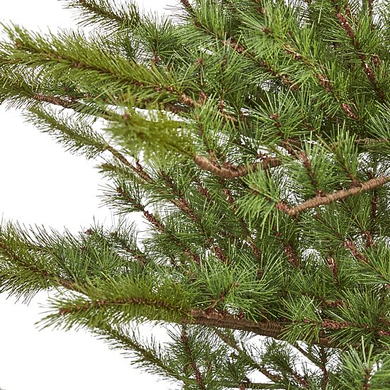 Nearly Natural 7 Foot Pine Christmas Tree
