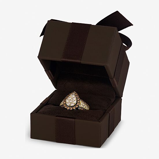 Le Vian® Ring featuring 1/2 CT. Nude Diamonds™ 1/2 CT. Chocolate Diamonds® set in 14K Honey Gold™