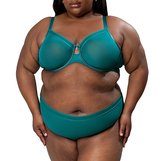Curvy Couture Sheer Mesh High Cut Brief-1313