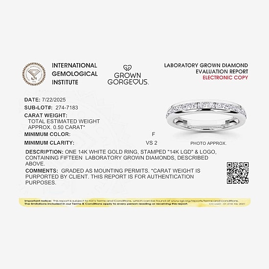 Grown Gorgeous (F, Vs2) Womens 1/2 CT. T.W. Lab Grown White Diamond 14K Gold or Platinum Anniversary Wedding Band