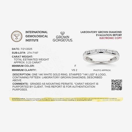 Grown Gorgeous (F,Vs2) Womens 1/4 CT. T.W. Lab Grown White Diamond 14K Gold or Platinum Wedding Band