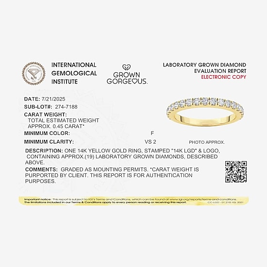 Grown Gorgeous (F, Vs2) Womens 1/2 CT. T.W. Lab Grown White Diamond 14K Gold or Platinum Wedding Band