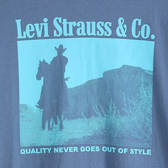 Levi's® Mens Crew Neck Long Sleeve Relaxed Fit Graphic T-Shirt