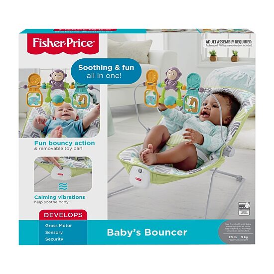 Fisher-Price Baby Bouncer