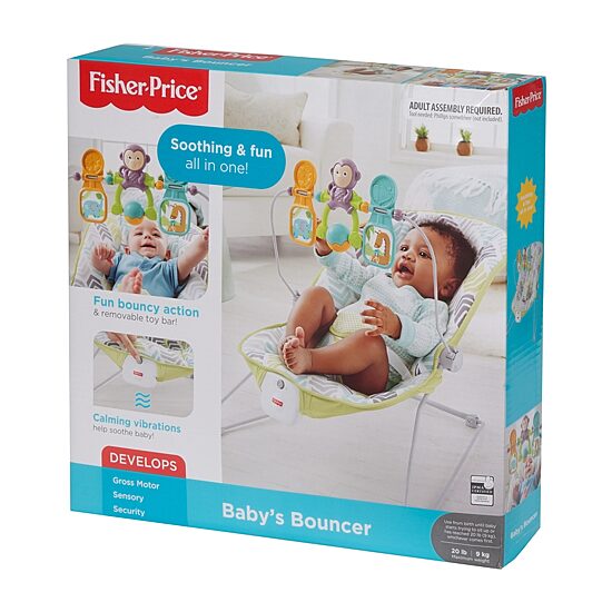 Fisher-Price Baby Bouncer