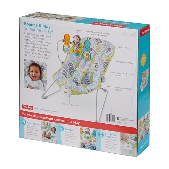 Fisher-Price Baby Bouncer