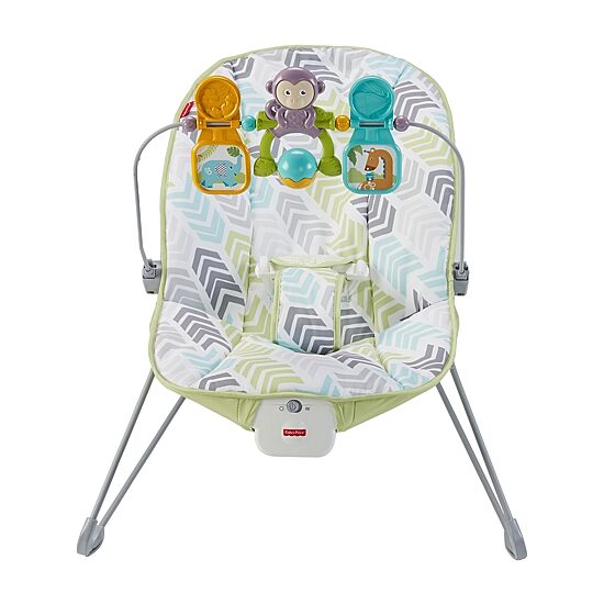 Fisher-Price Baby Bouncer