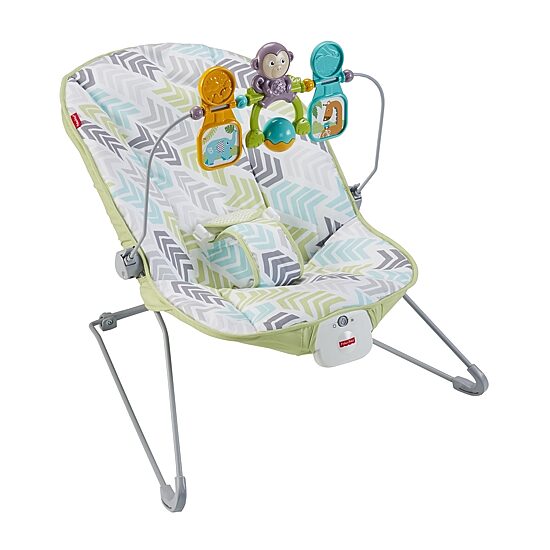 Fisher-Price Baby Bouncer