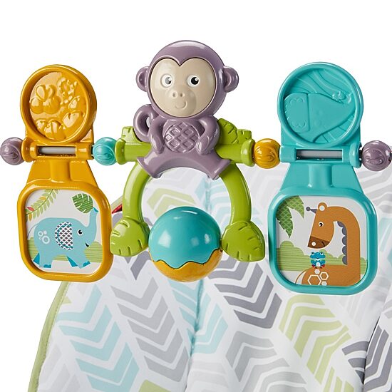 Fisher-Price Baby Bouncer