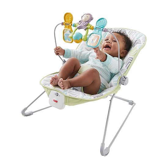 Fisher-Price Baby Bouncer