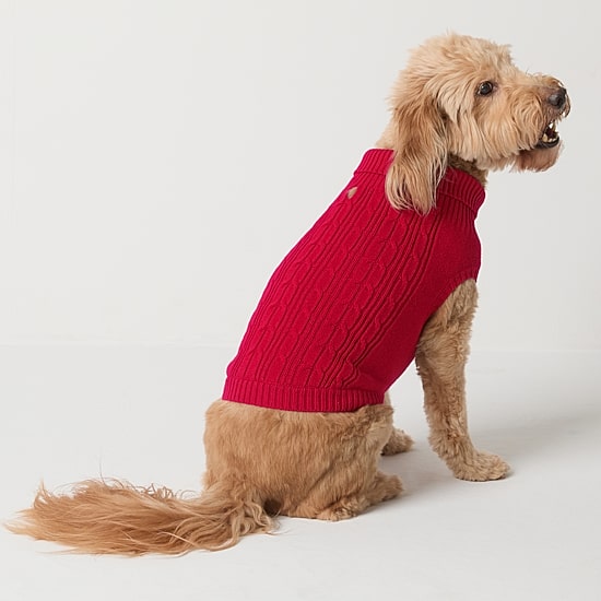 St. Johns Bark Dog Sweater