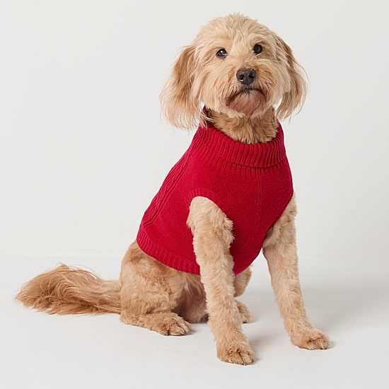 St. Johns Bark Dog Sweater