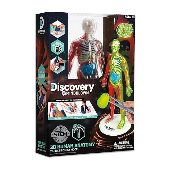 Discovery™ #Mindblown 3D Human Anatomy 28-Piece Biology Model