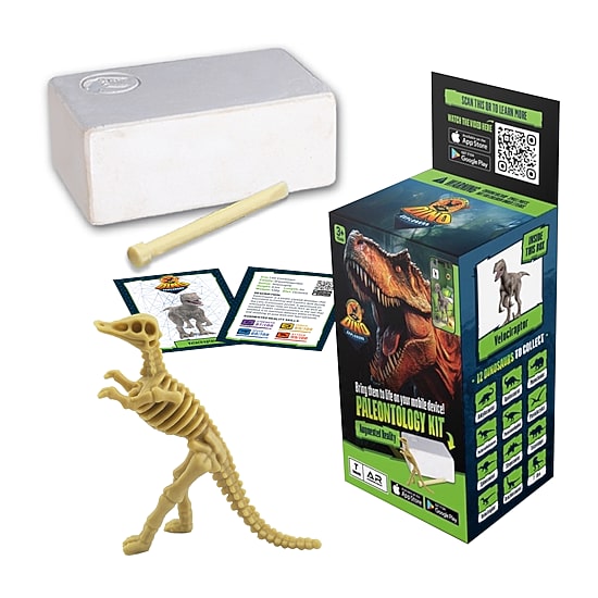 Jay at Play® Ar Dino Explorer Combo 2-pc. Toy Playset