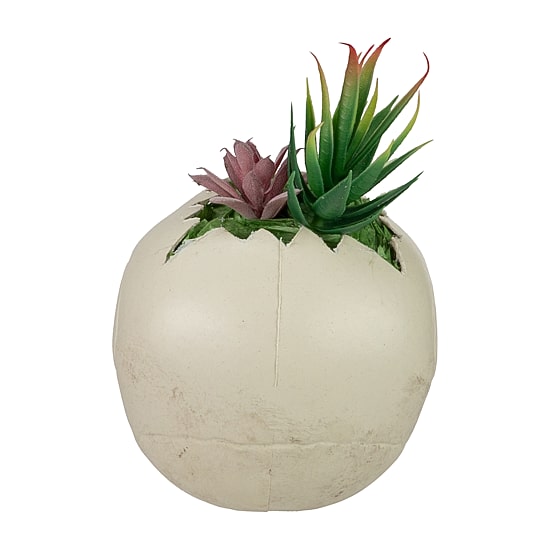 Northlight 8.75in Led Lighted Succulent Skull Lighted Tabletop Decor