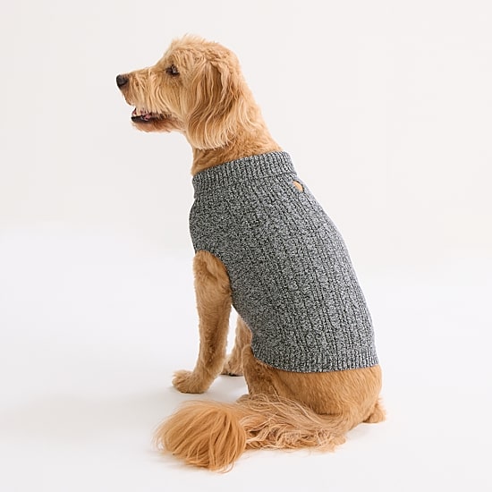 St. Johns Bark Dog Sweater