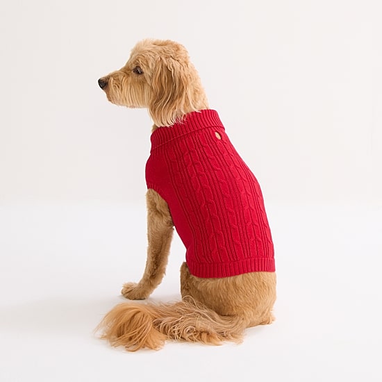 St. Johns Bark Dog Sweater