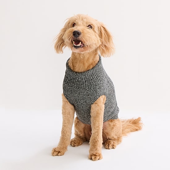 St. Johns Bark Dog Sweater