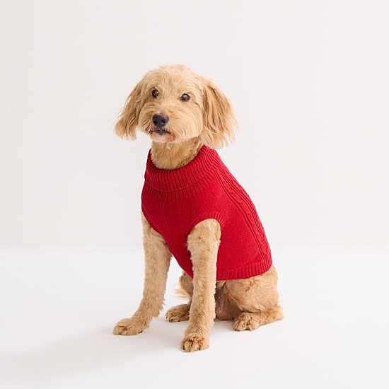 St. Johns Bark Dog Sweater