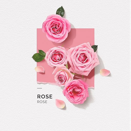 Solinotes Rose Eau De Parfum
