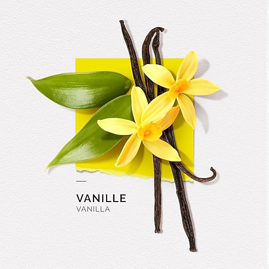Solinotes Vanilla Eau De Parfum