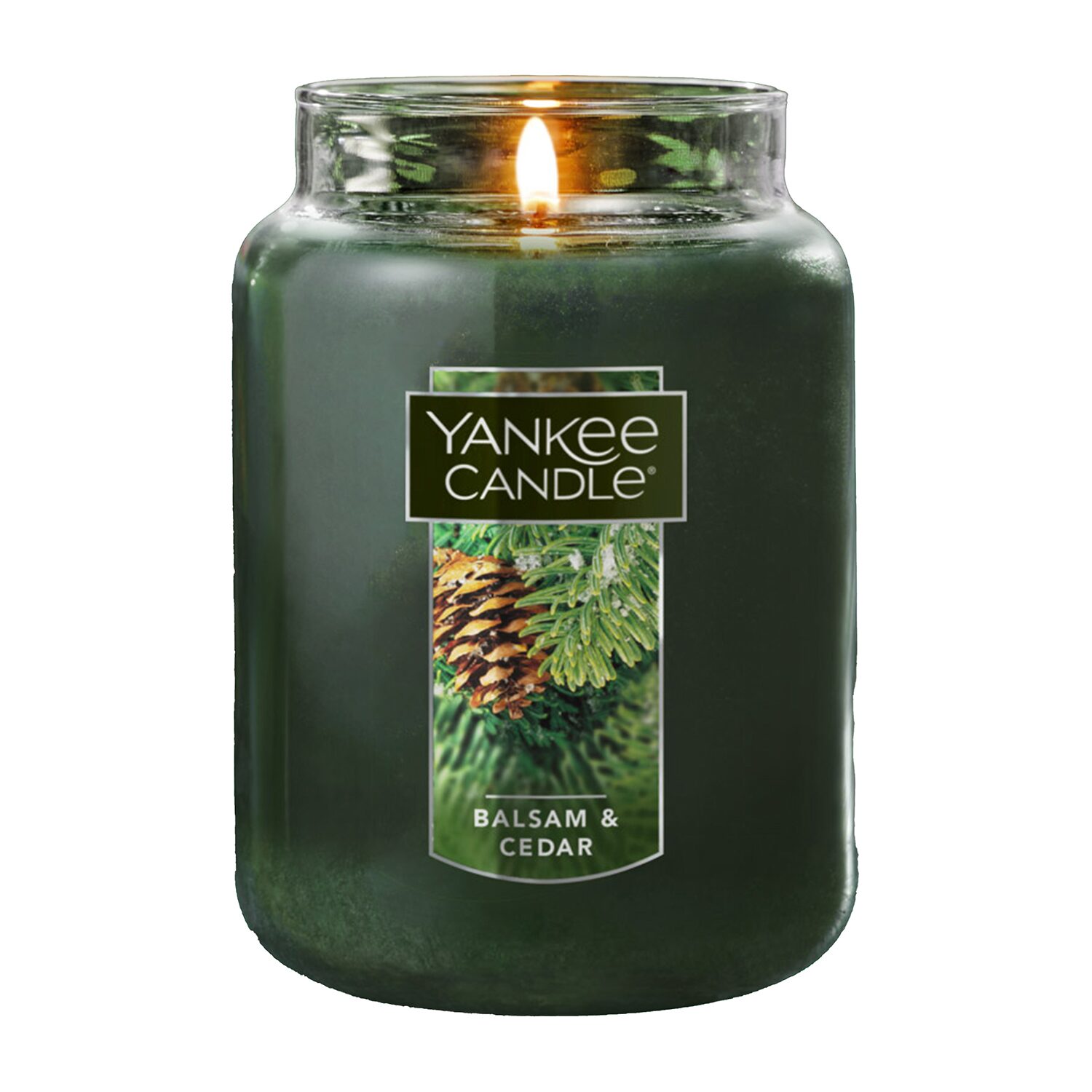 Yankee Candle Balsam & Cedar Original Large Single Wick Scented Jar Candle