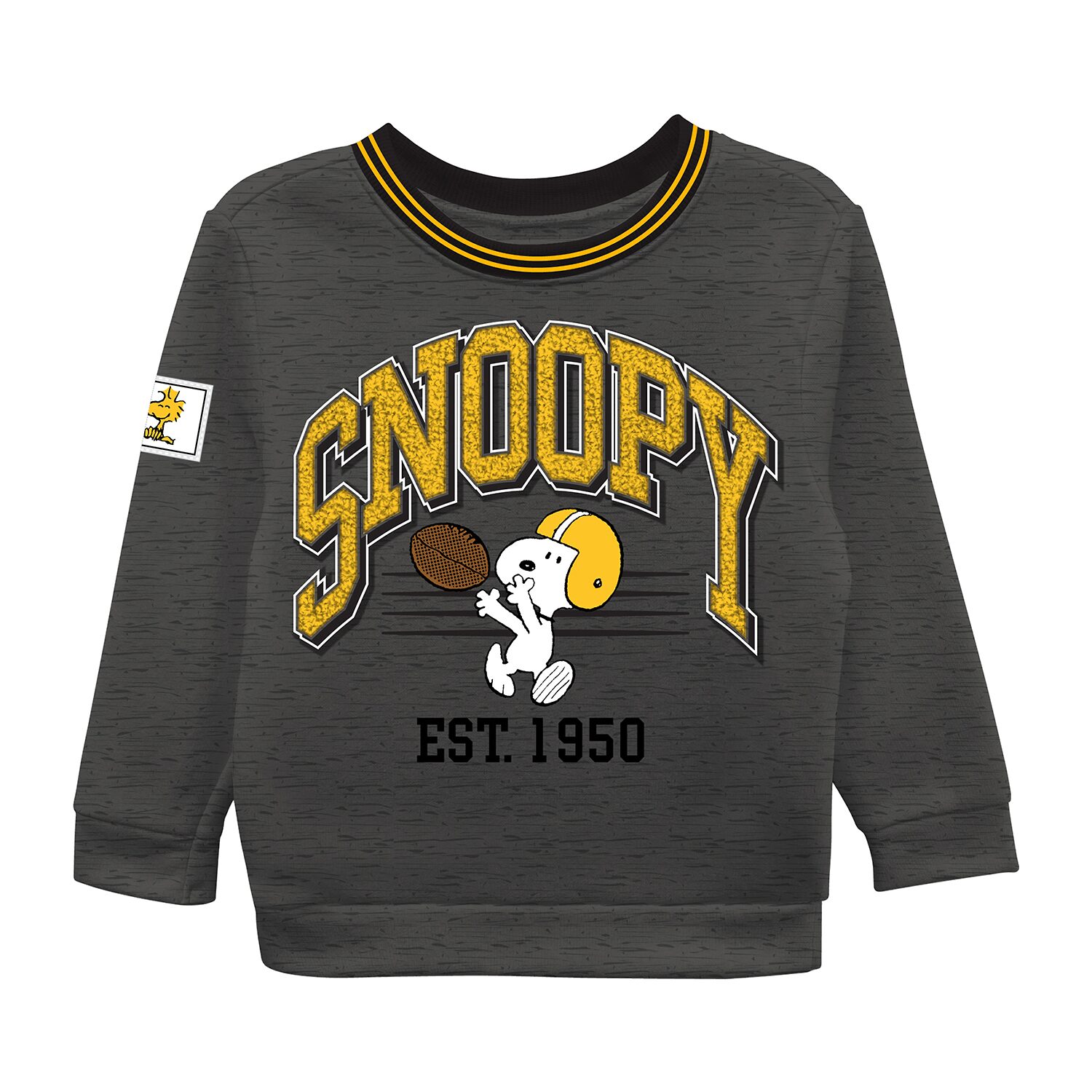 Toddler Boys Snoopy Fleece 2-pc. Pant Set
