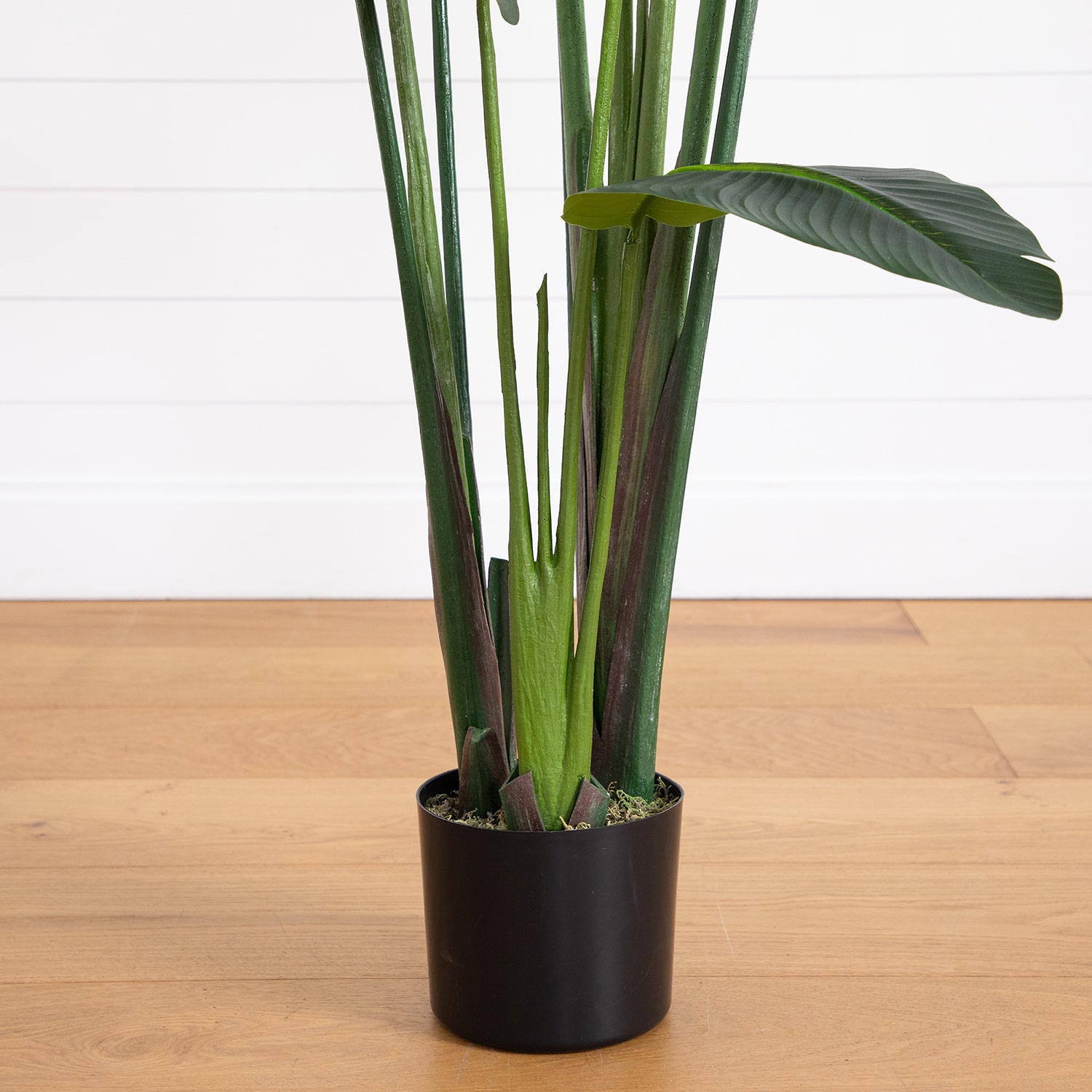 Nearly Natural 6ft. Green Travelers Palm Indoor Artificial Tree