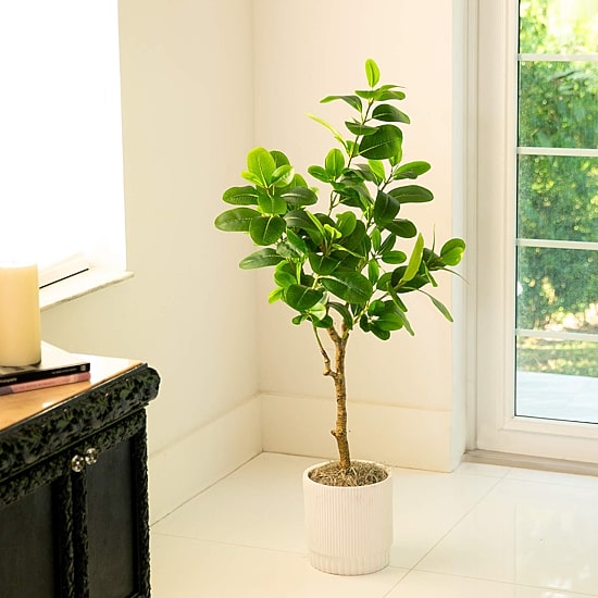 Nearly Natural 4ft. Green Audrey Ficus Indoor Artificial Tree