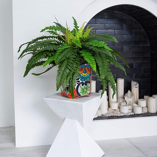 Nearly Natural 19in Green Boston Fern Artificial Plant