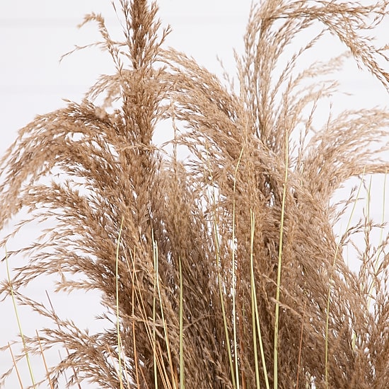 Nearly Natural 4ft. Green Pampas Grass Artificial Plant