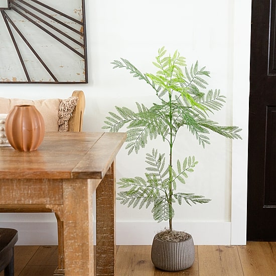 Nearly Natural 3.5ft. Green Minimalist Jacaranda Artificial Plant
