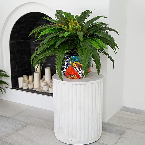 Nearly Natural 20in Green Double Boston Fern Artificial Plant