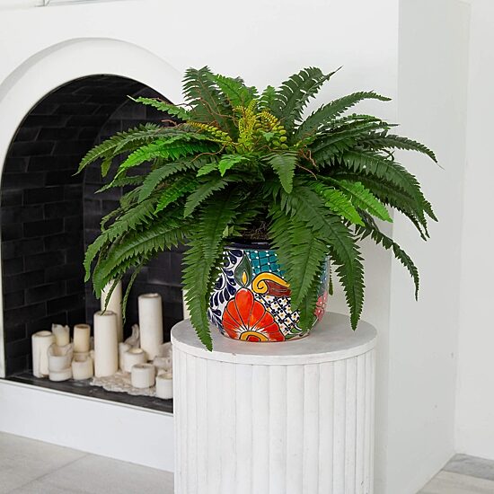 Nearly Natural 20in Green Double Boston Fern Artificial Plant