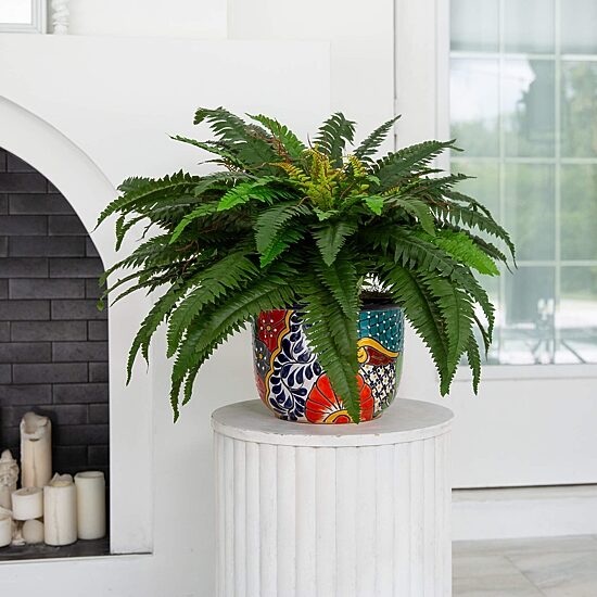 Nearly Natural 20in Green Double Boston Fern Artificial Plant