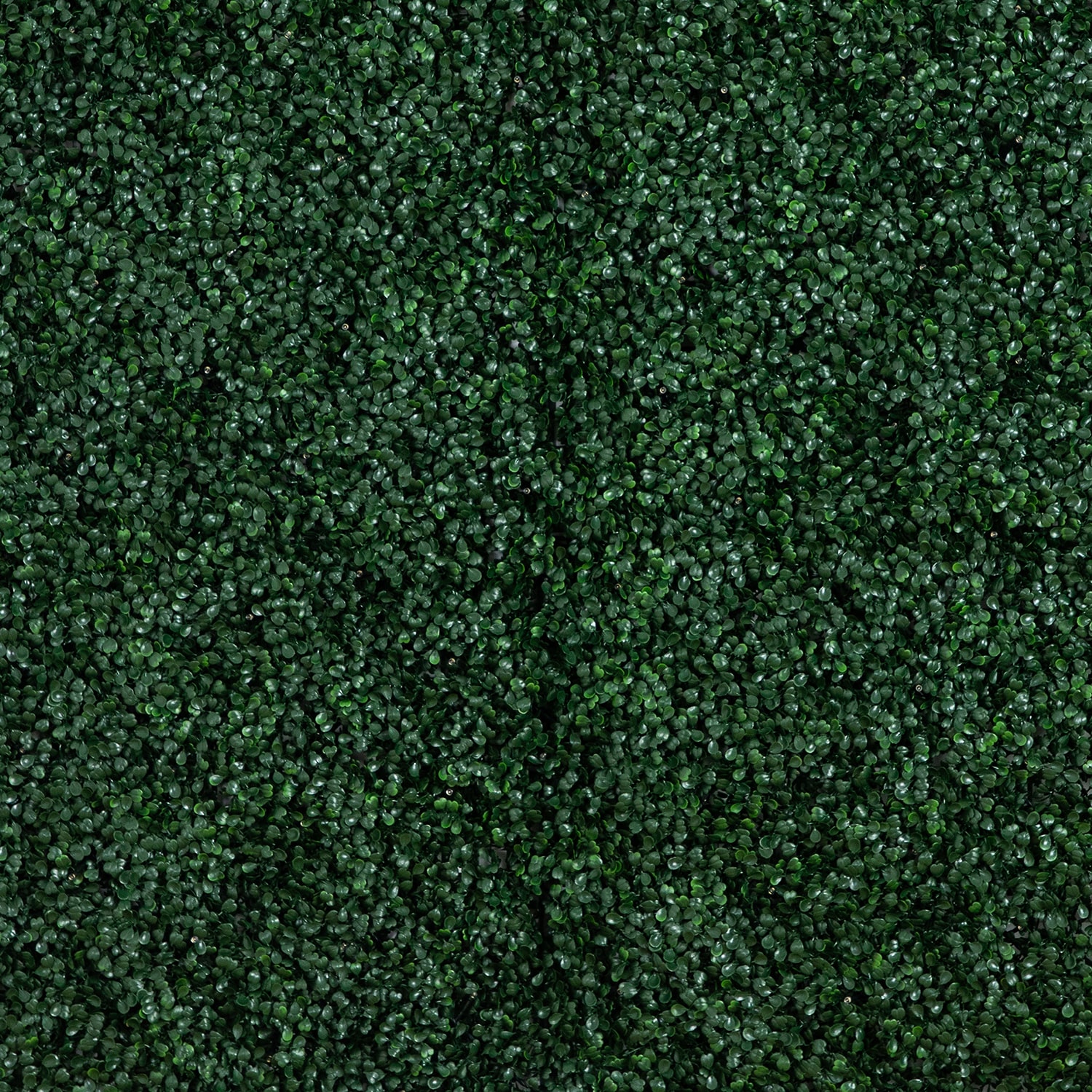 Nearly Natural 40in. X 40in. Green Lighted Boxwood Wall Panel Artificial Plant