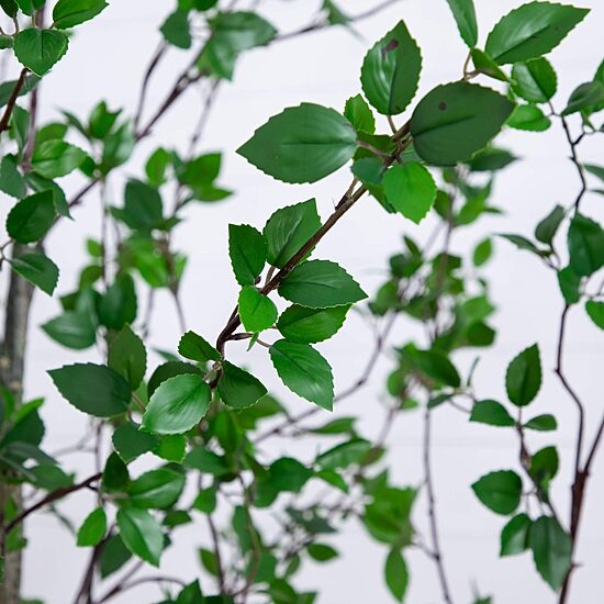 Nearly Natural 10ft. Green Minimalist Citrus Indoor Artificial Tree